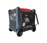 Generador Inverter 10,000W